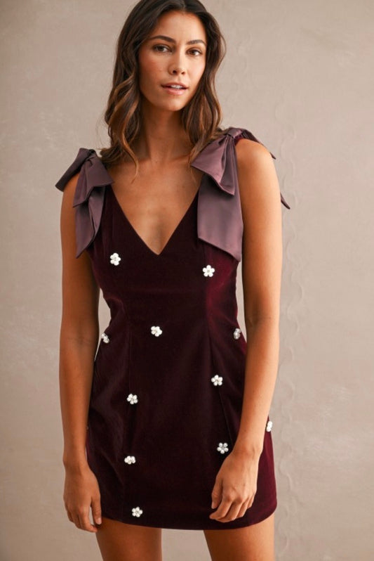 Wine Velvet Mini Dress